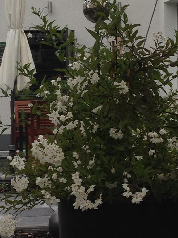 Wohnraum Hotel & Gaestehaus Gusterath 外观 照片